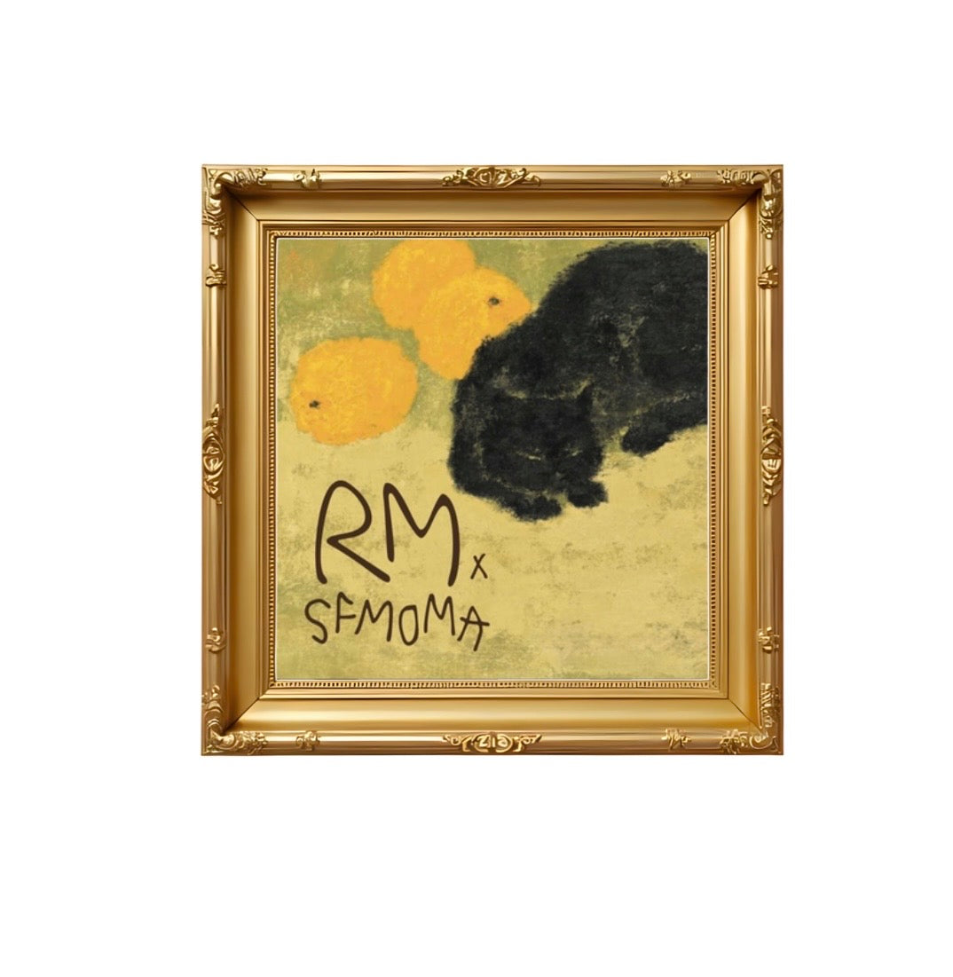 RMSFMOMA Photo Frame Magnets
