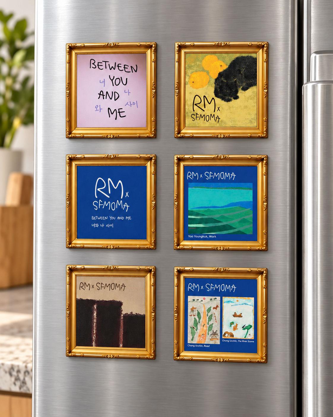 RMSFMOMA Photo Frame Magnets